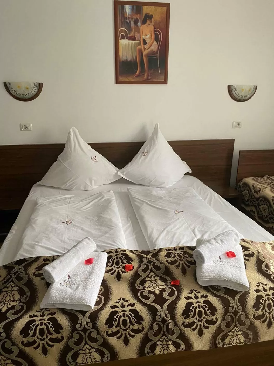 Revelion 2024 in Bucovina Pensiunea Roua Voronetului****