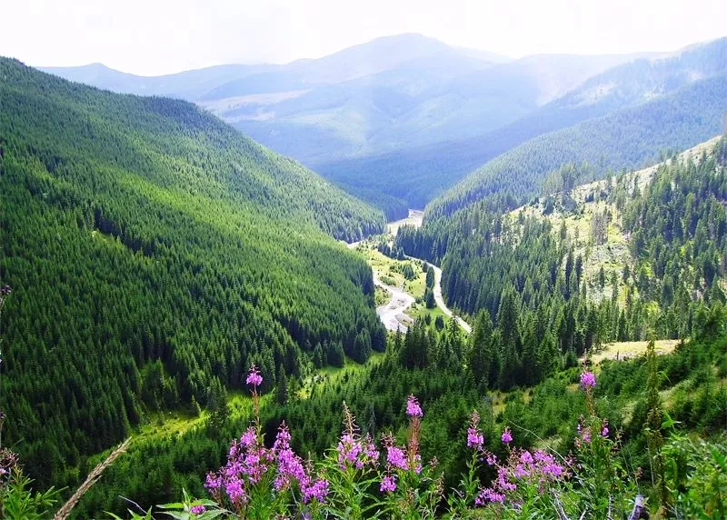 Vacanta 2024 in Bucovina Gura Humorului Hotel Toaca Bellevue