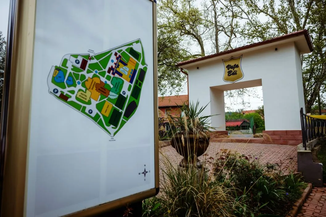 Vata Detox 2026 Complexul Balneo Termal Vata Bai Hotel Phoenix
