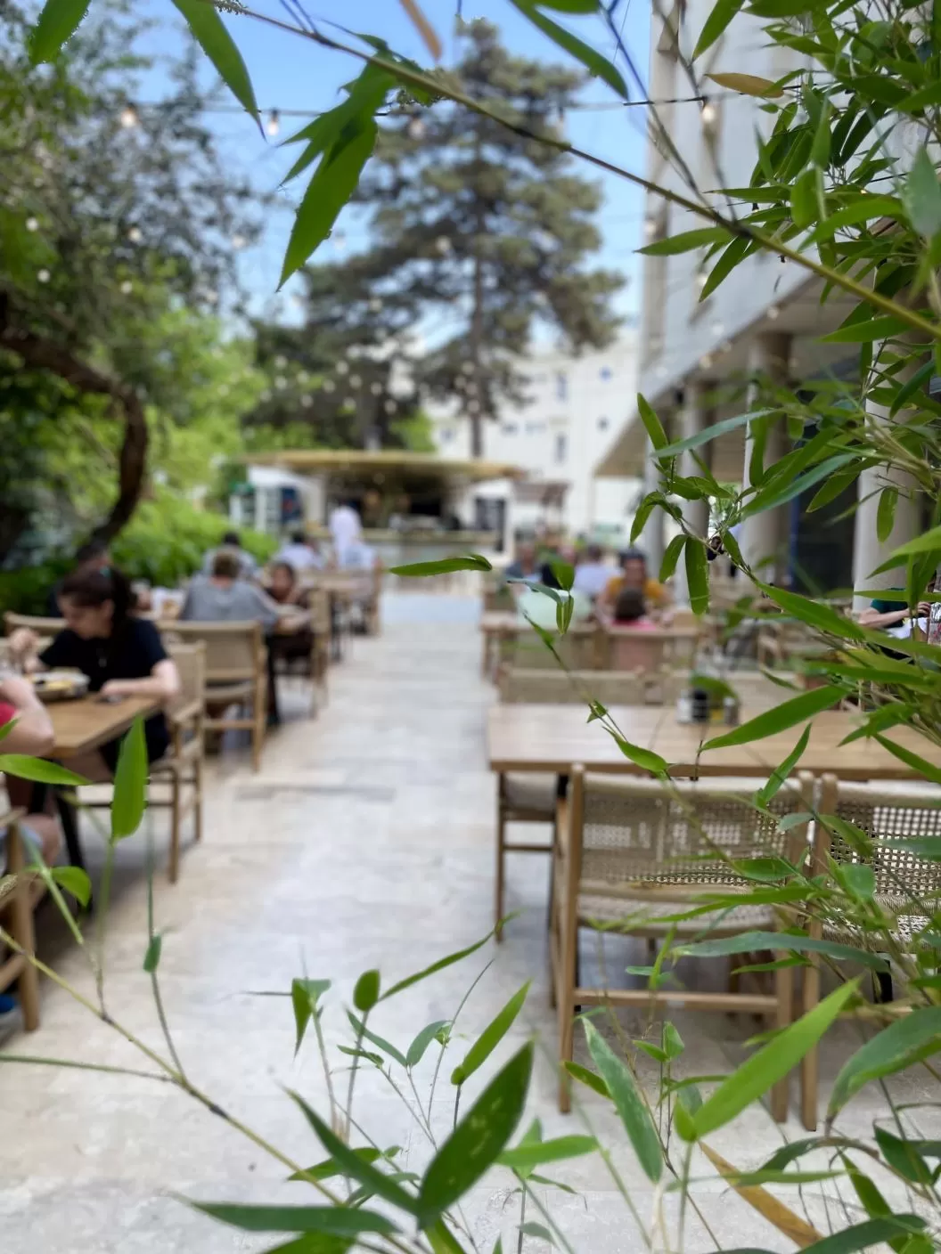 Litoral 2026 Eforie Nord Hotel Carmen