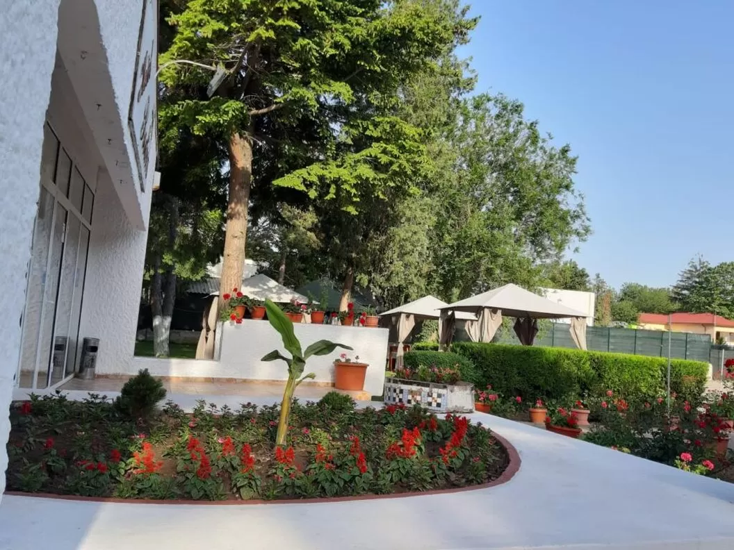 Sejur litoral 2022 Venus Hotel Rodica**