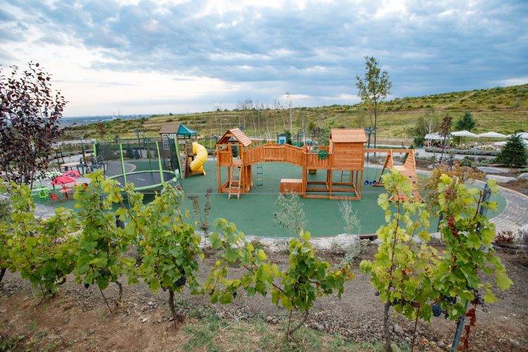 Sejur odihna 2025 Bucov Casa Timis***