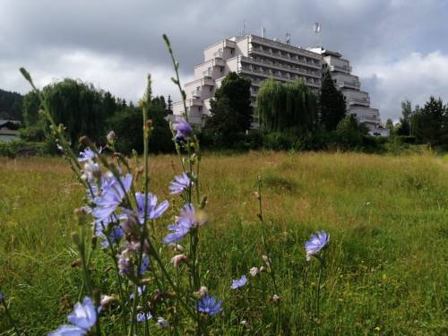 Decada Balneo pentru toti 2025 Covasna Hotel Montana
