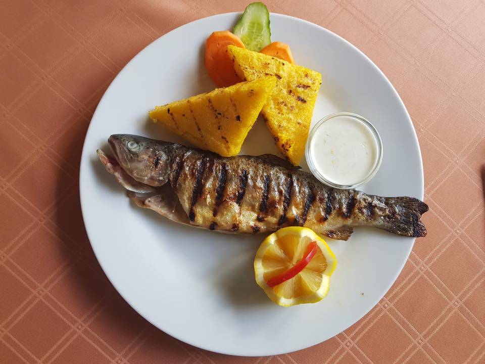 Sejur odihna 2025 la Munte Voineasa Hotel Zan**** 
