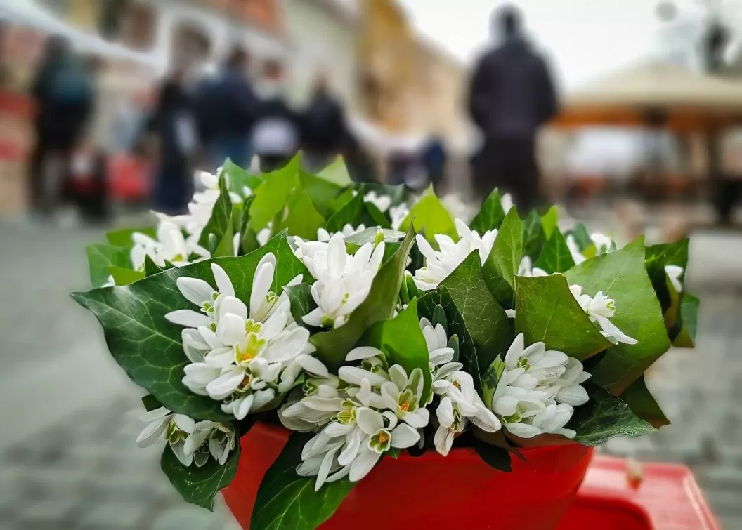 Martisor 2025 in Gura Raului Pensiunea Valtoare***** 
