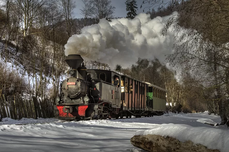 Revelion 2023 in Maramures Viseu de Sus Hotel Gabriela***