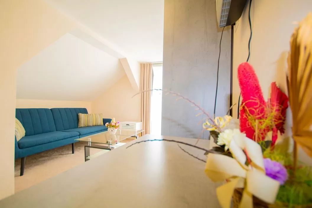 Vacanta 2026 in Clisura Dunarii Eselnita Pensiunea Danubia