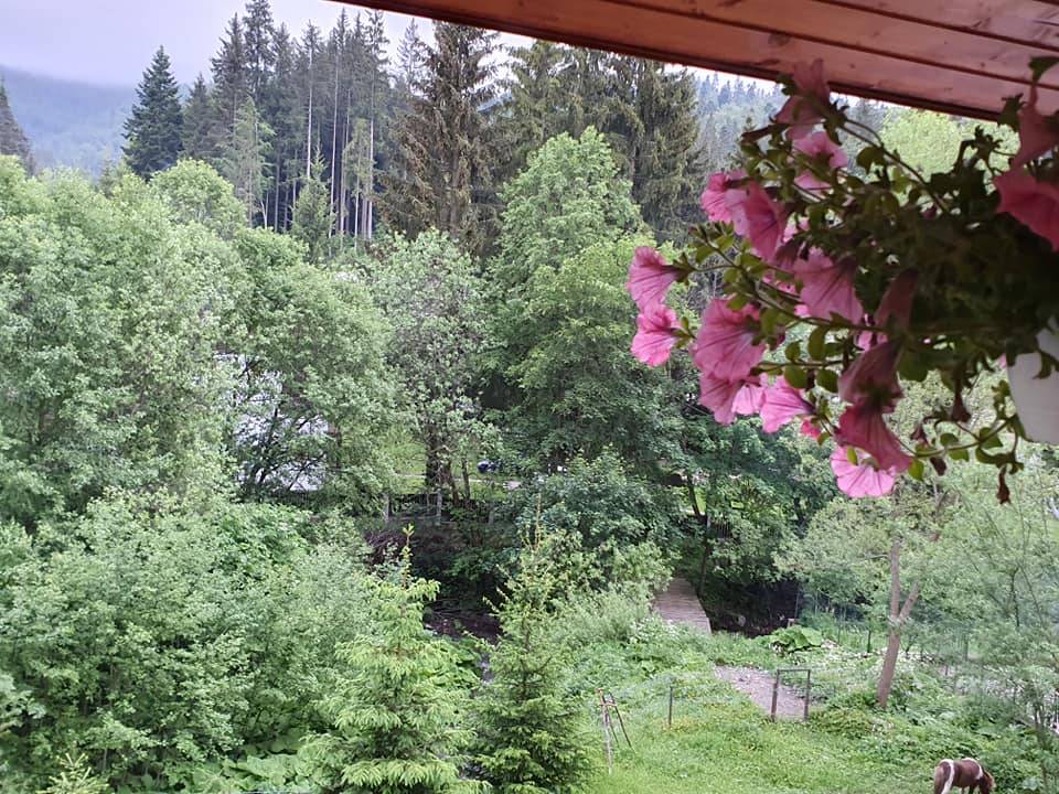 Sejur Munte Predeal Hotel Atrium Mountain View