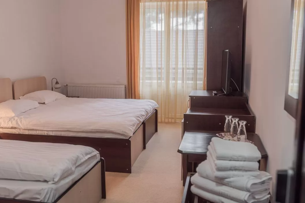 Sarbatori de Pasti 2026 Bucovina Gura Humorului Chalet 173