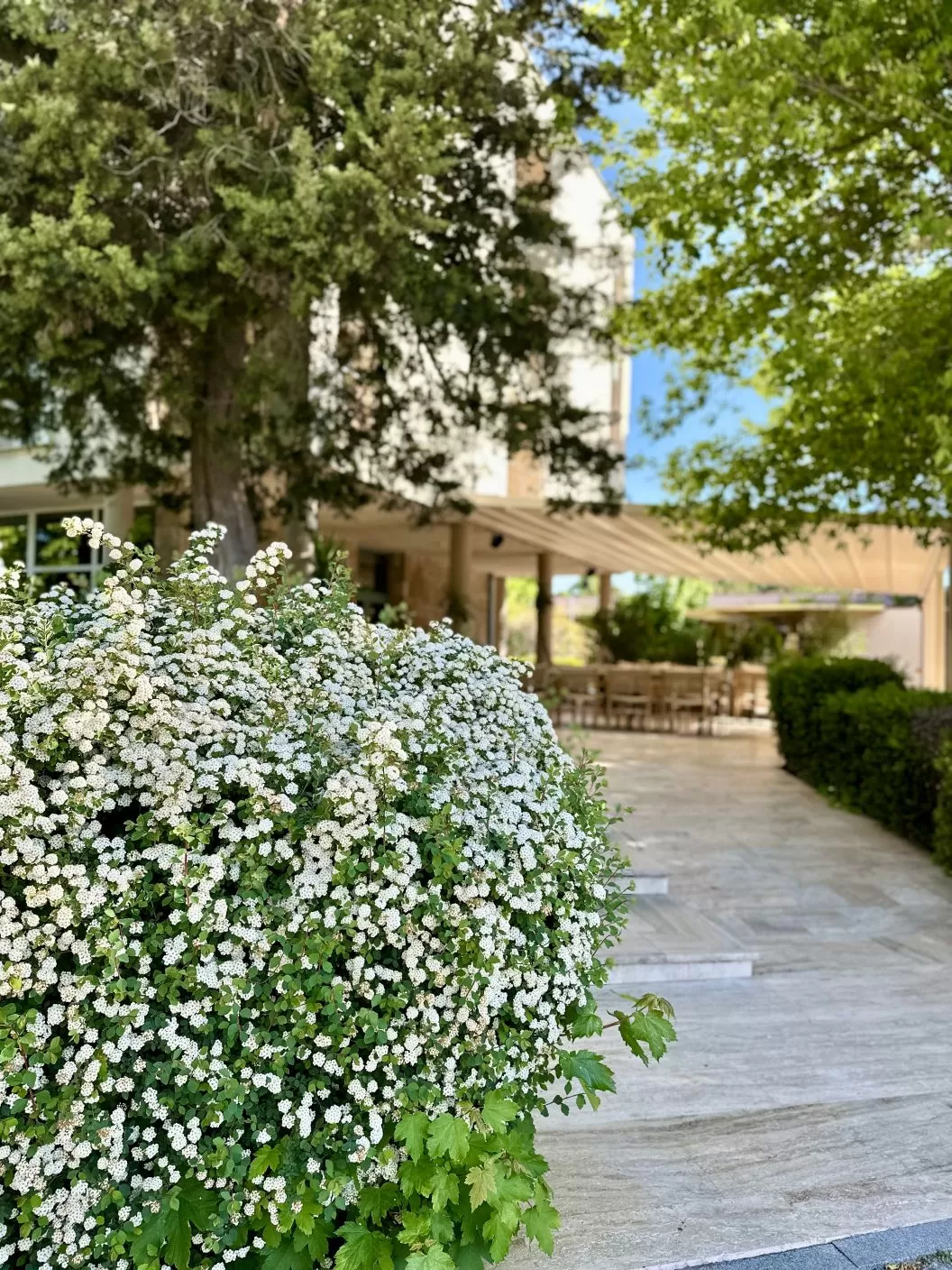 Litoral 2026 Eforie Nord Hotel Carmen