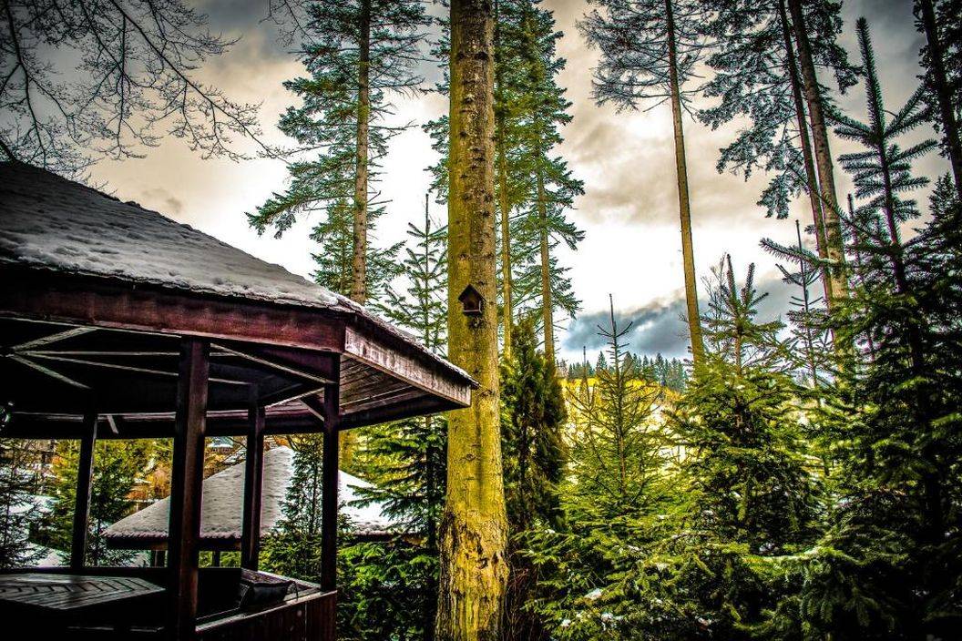 Sejur odihna 2025 Sinaia Hotel Smart