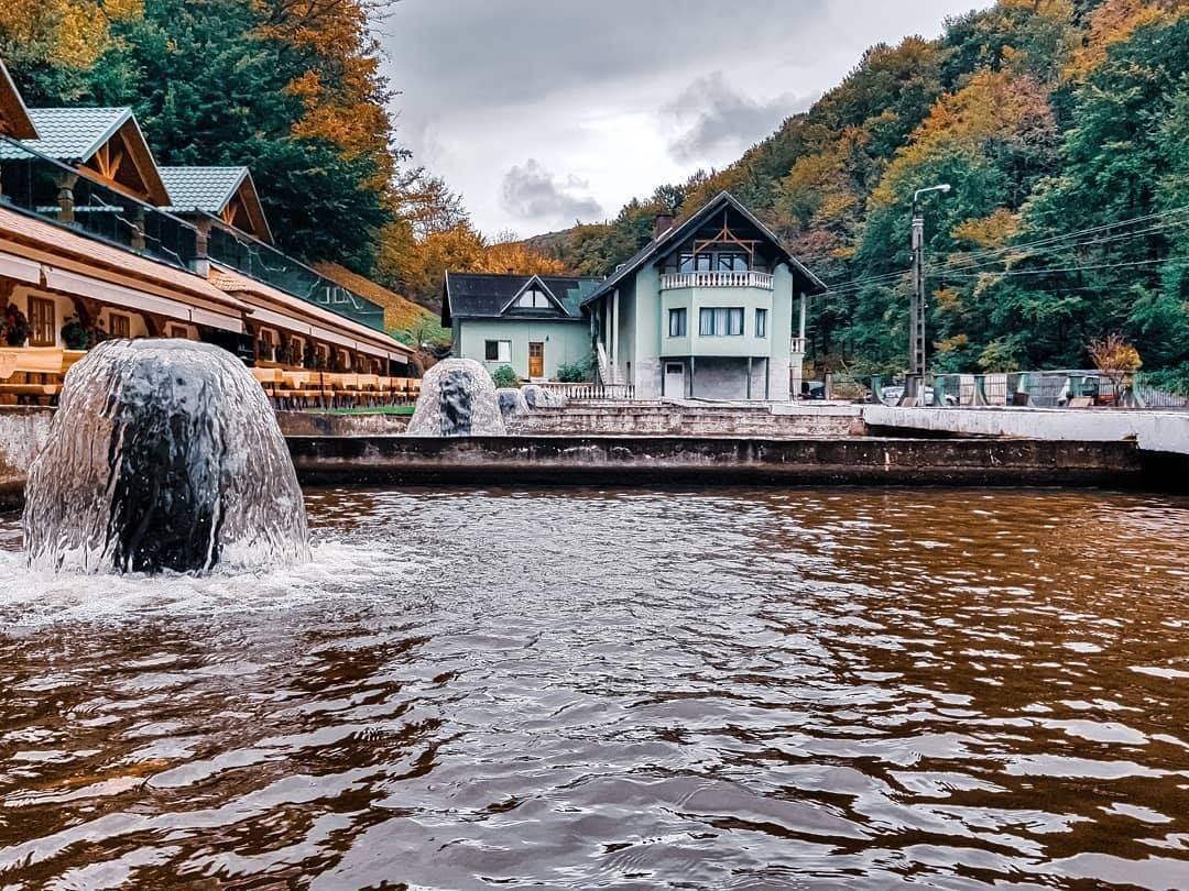 Vacanta in Maramures 2023 Baia Mare Firiza Complex Lostrita**** 