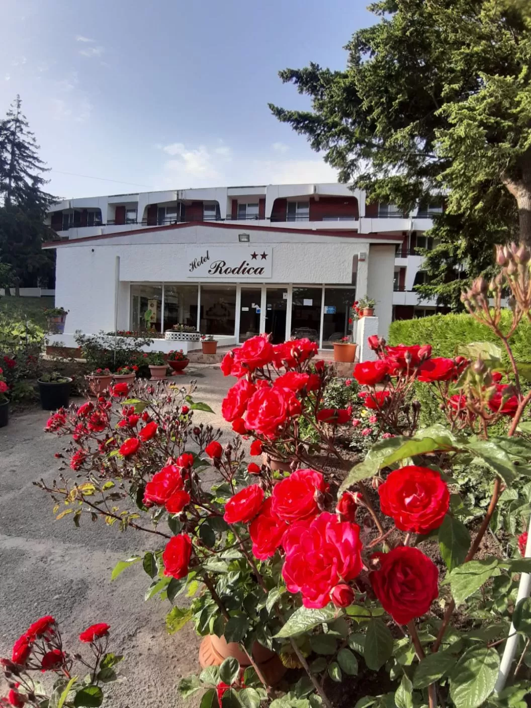 Sejur litoral 2022 Venus Hotel Rodica**