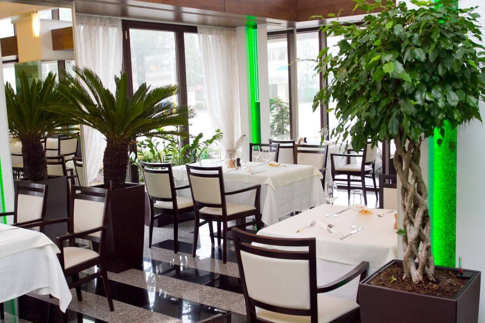 Litoral 2023 Mamaia Hotel Scapino****