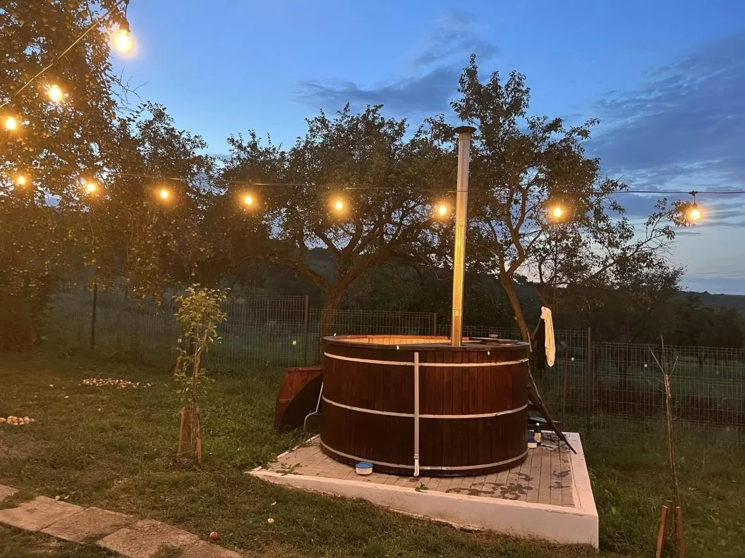 Tratament Balnear 2025 Bazna Pensiunea Bassen