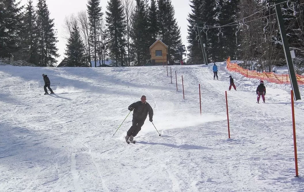 Sejur odihna in Harghita – Piricica Pensiunea Tihna Muntelui***