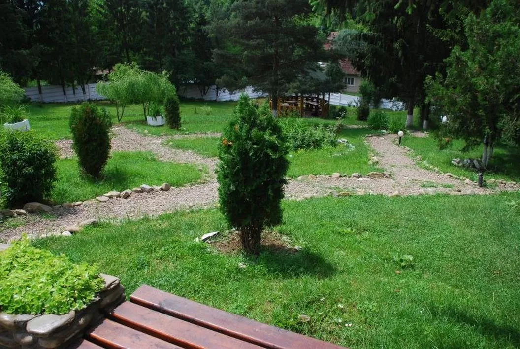 Tratament Balnear 2024 Slanic Prahova Hotel Slanic