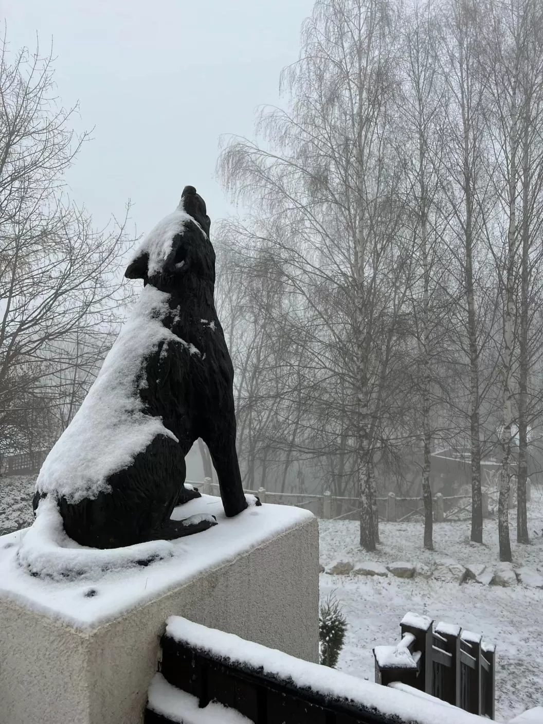 Sarbatori de Pasti 2026 in mijlocul naturii Fundata Sirnea Domeniul Valea Lupilor