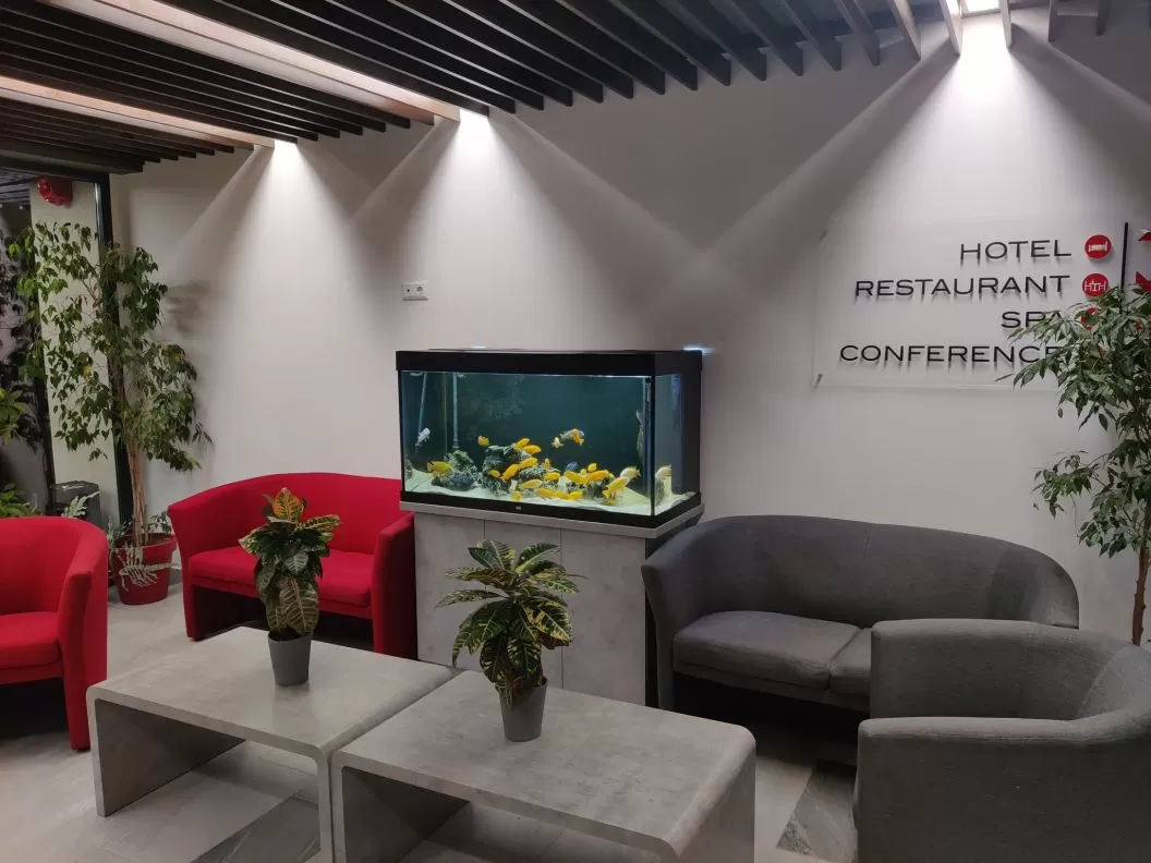 Sejur Odihna 2025 Praid Hotel Altus SPA