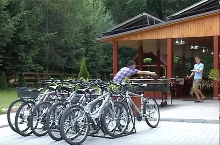 Sanatate si Relaxare in Maramures Ocna Sugatag Pensiunea Popasul din Deal***