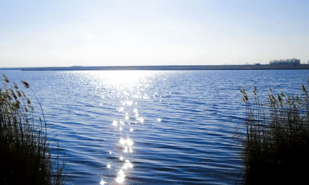 Factori naturali – Sănătate, Relaxare și Energie Regăsită