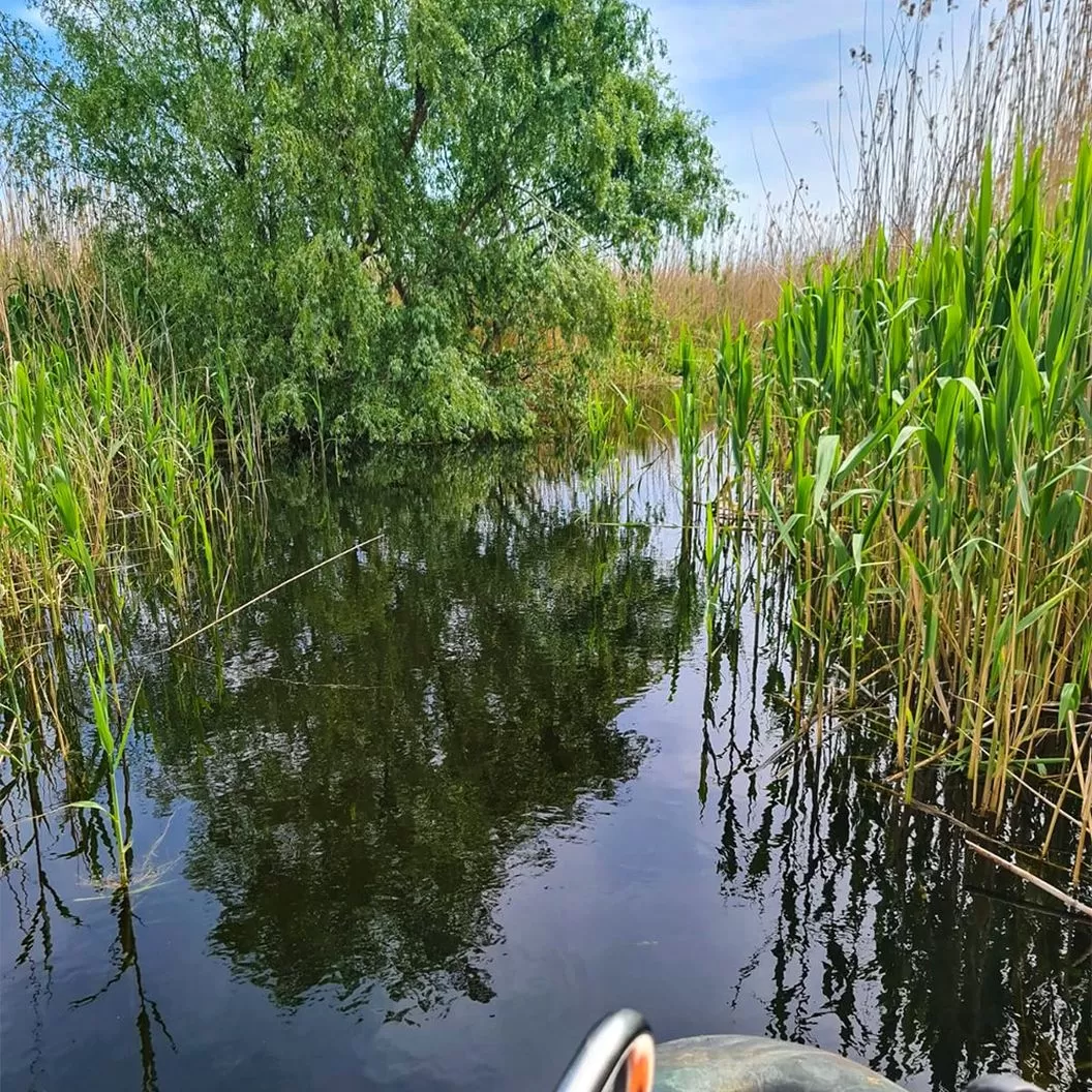 Sejur All Inclusive in Delta Dunarii 2025 Mila 23 Pensiunea Gigant Fish