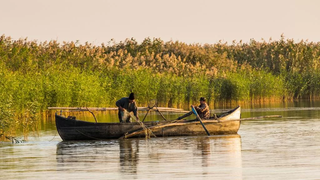 Vacanta in Delta Dunarii 2025 Mahmudia Pensiunea Casa Teo