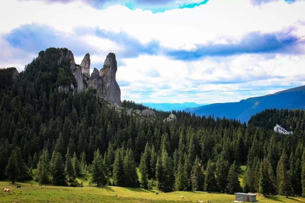 Revelion 2026 in Muntii Rarau Hotel Alpin Rarau