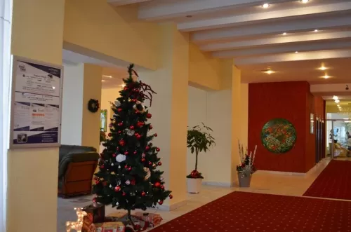 Revelion 2026 in Covasna Hotel Montana