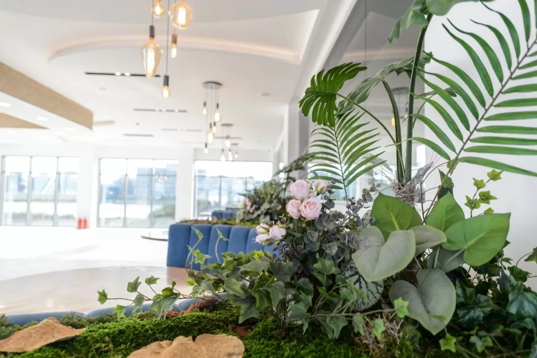 Eforie Nord Hotel Mirage Beach SPA