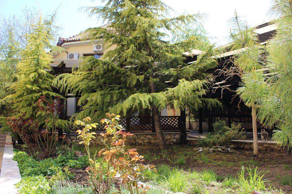 Tratament Balnear 2021 Techirghiol Complex Turistic Anina Pico Mar Travel