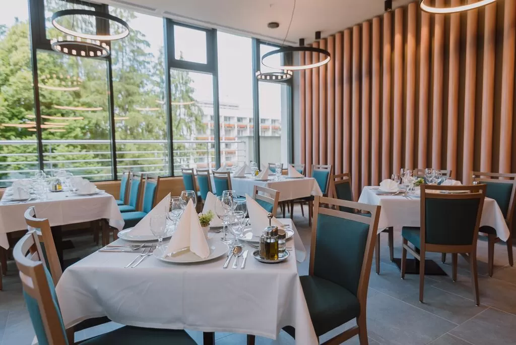 Tratament Balnear SPA Intensiv Sovata Hotel Ensana Health SPA URSINA