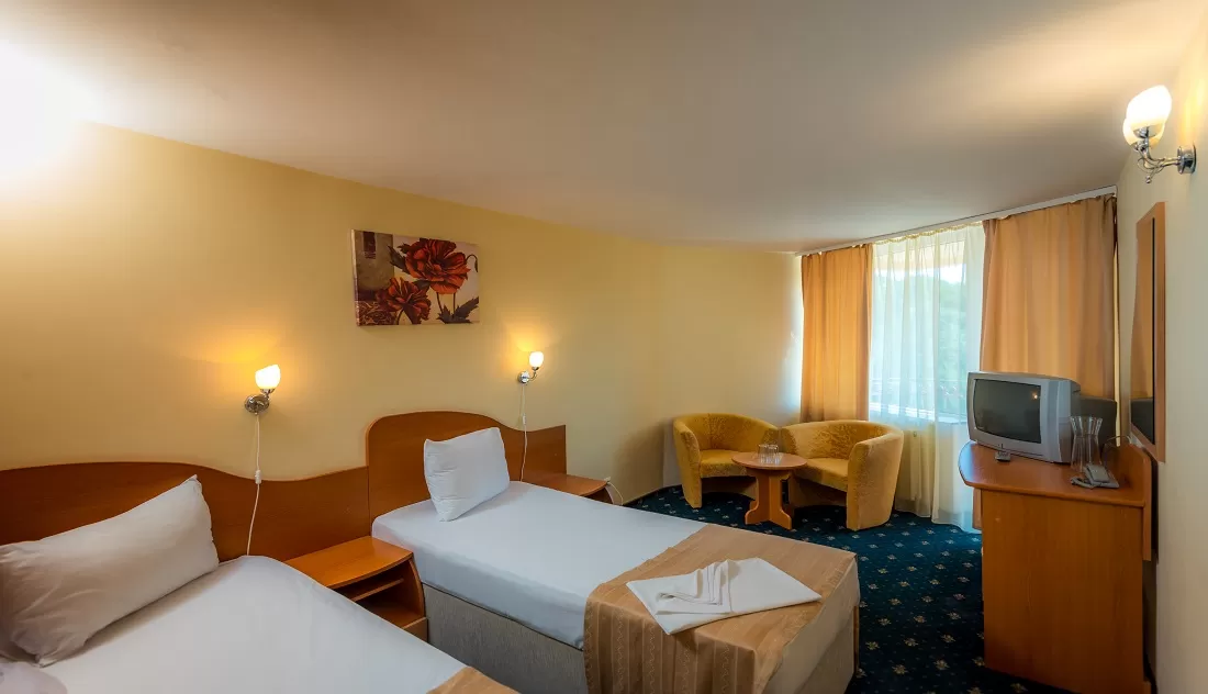 Vacanta pentru Relaxare 2025 Creeaza-ti propria vacanta Buzias Hotel Parc