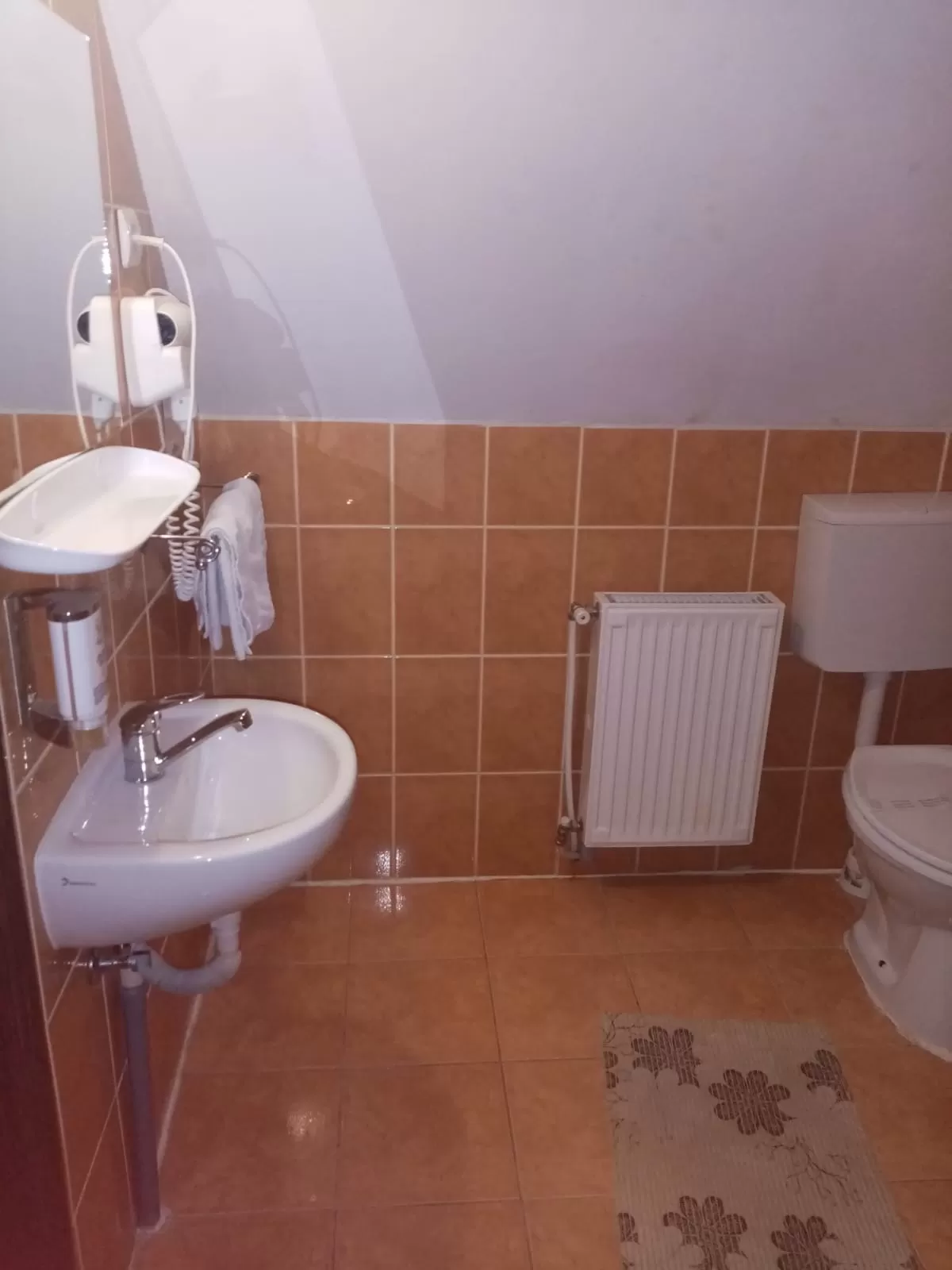 Sejur odihna 2023 in Transilvania Bazna Casa Bazna***