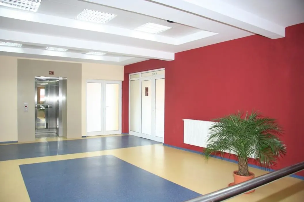 Oferta Speciala Seniori Plus 2026 Vatra Dornei Hotel Bradul