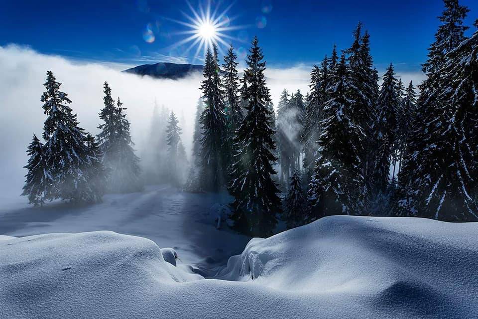 Minivacanta la Ski 2023 Predeal Hotel Belvedere*** 