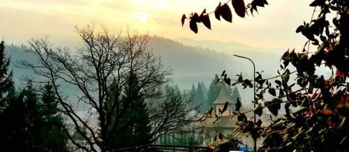 Sejur odihna 2023 in Bucovina Voronet Pensiunea Blumenhof****