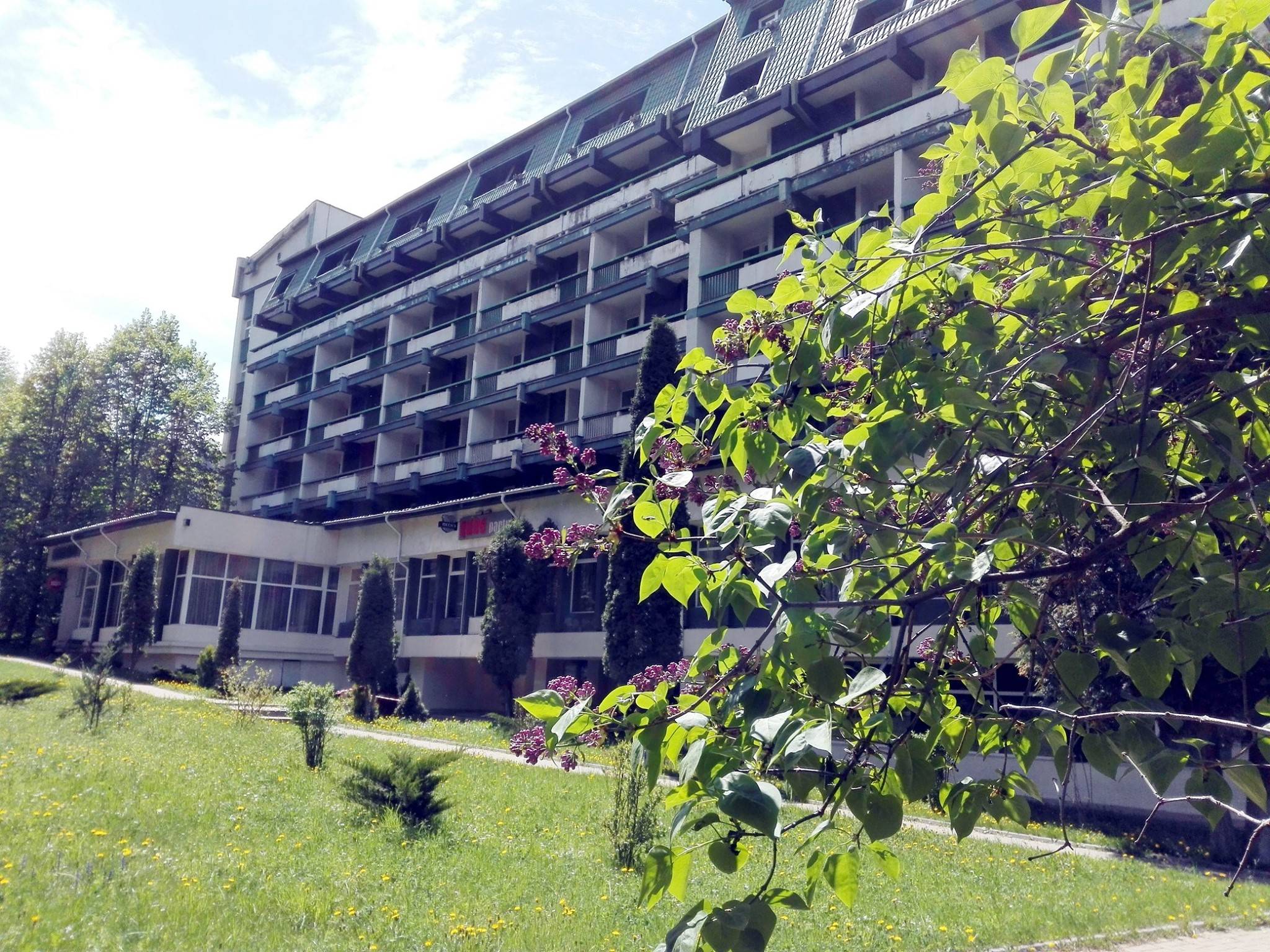 Oferta Balneo 2024 Vatra Dornei Hotel Bradul*** 