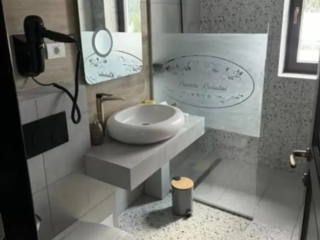 Revelion 2025 in Muntii Sureanu Hotel Poarta Raiului