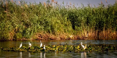 Sarbatori de Pasti 2026 Delta Dunarii Crisan Resort Delta Boutique & Carmen Silva