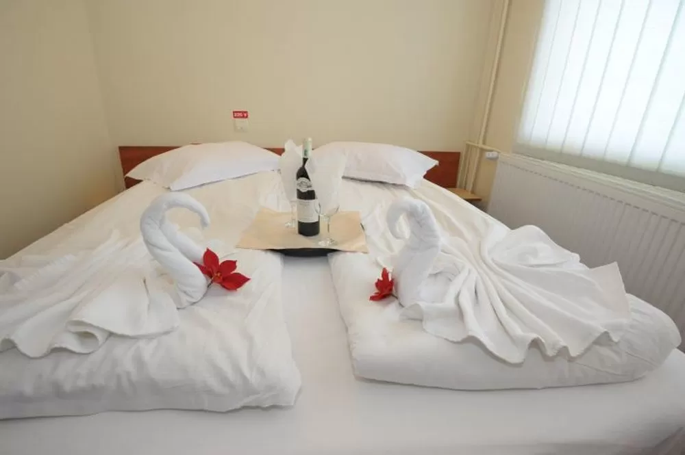 Revelion 2024 in Azuga Hotel Pin***