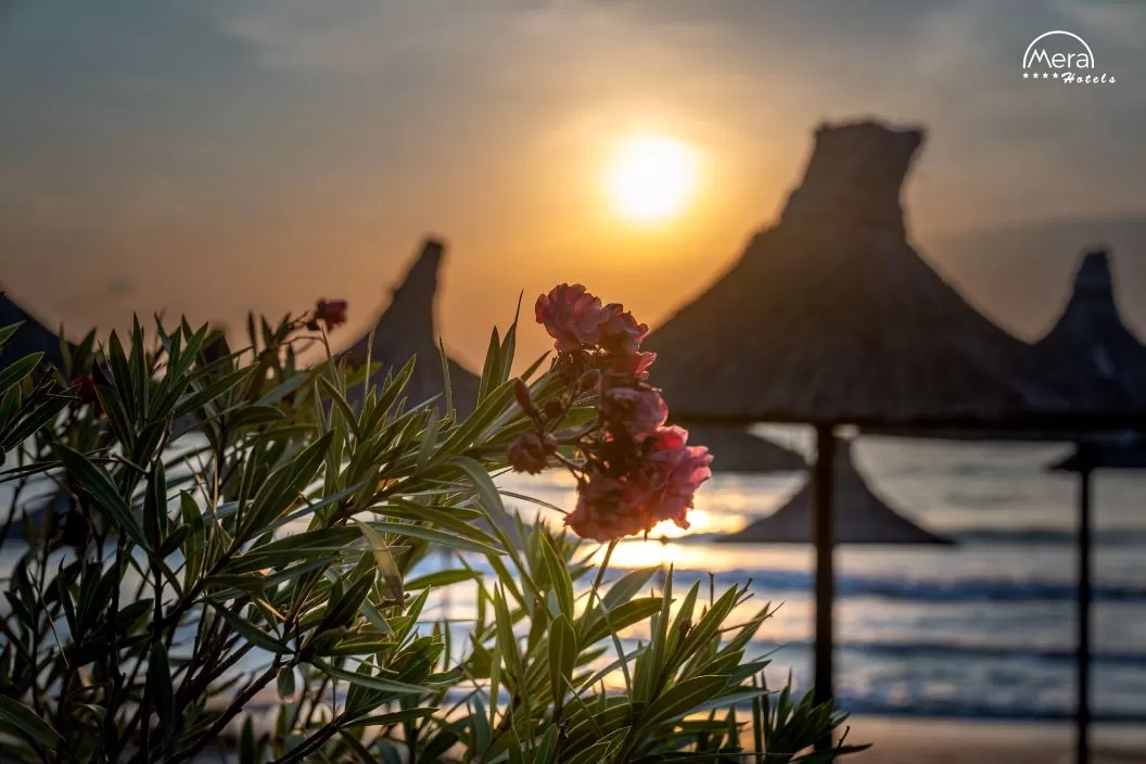 Litoral 2026 Mangalia Hotel Mera Brise