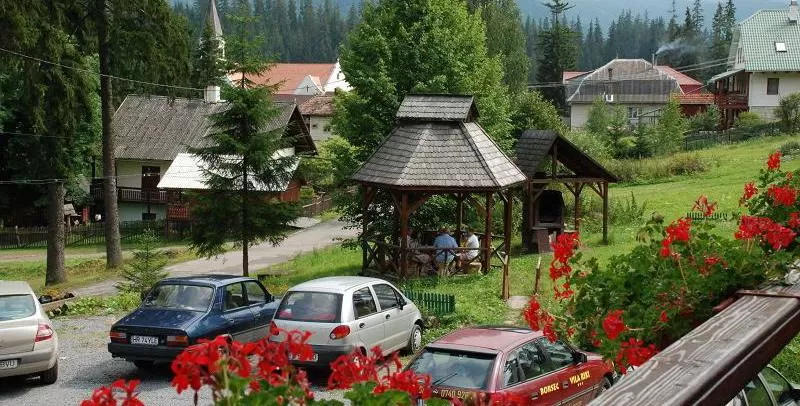 Sejur odihna 2022 Borsec Vila Riki***