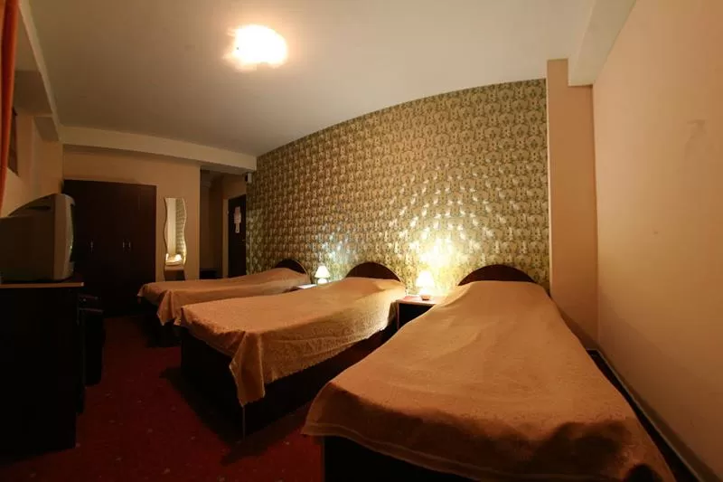 Cazare 2020 Iasi Hotel Tudor Palace***