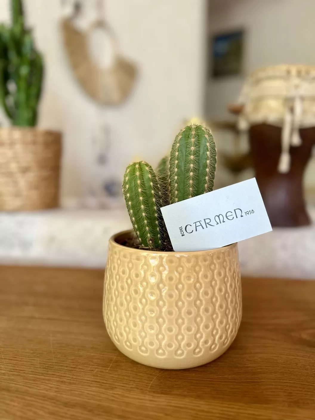 Litoral 2026 Eforie Nord Hotel Carmen