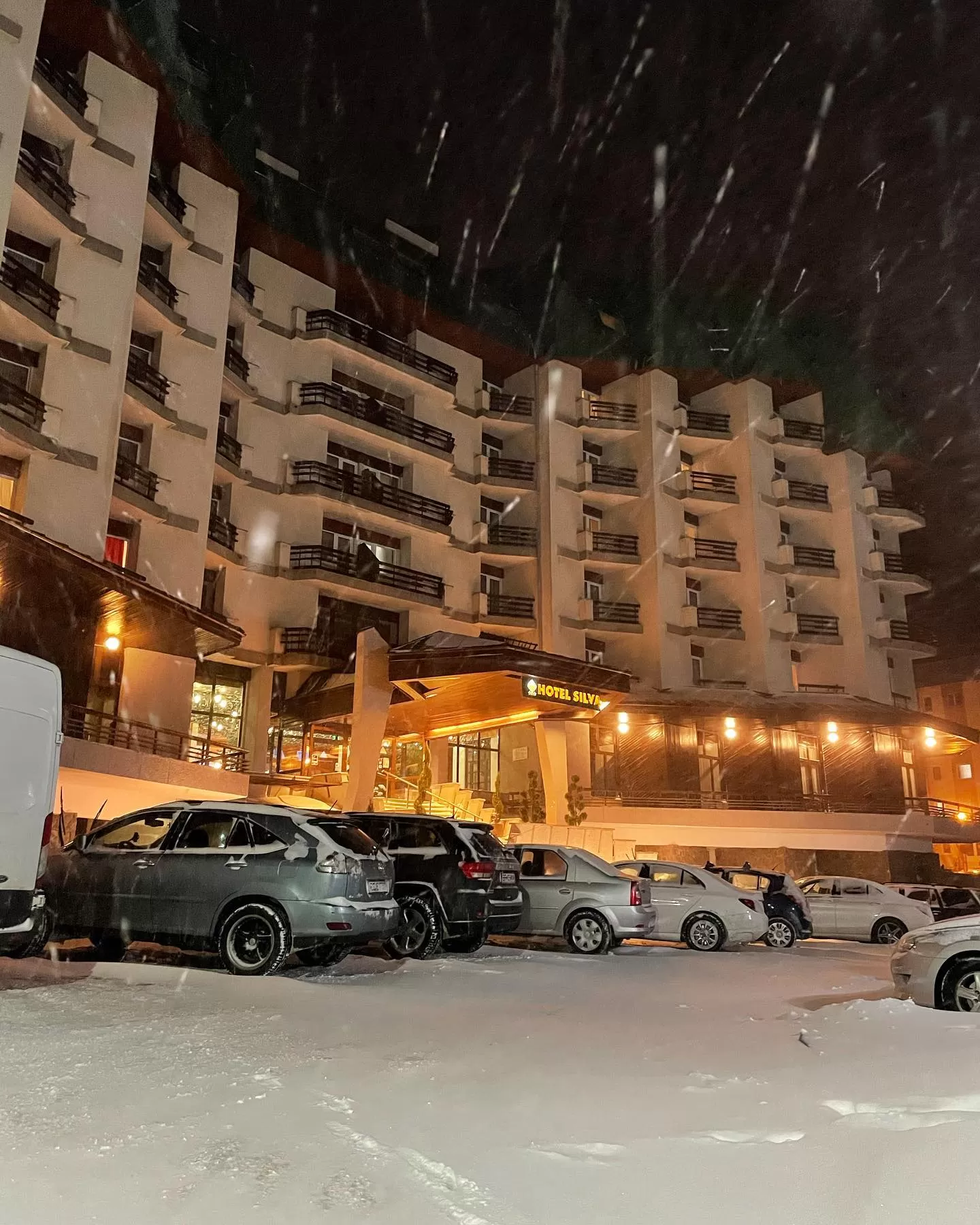 Sfantul Andrei si Ziua Nationala 2020 Busteni Hotel Silva***