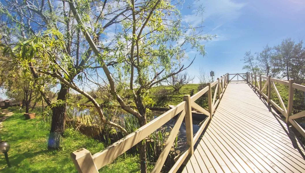 Seniori 2026 Delta Dunarii Sfantu Gheorghe Complex Green Village