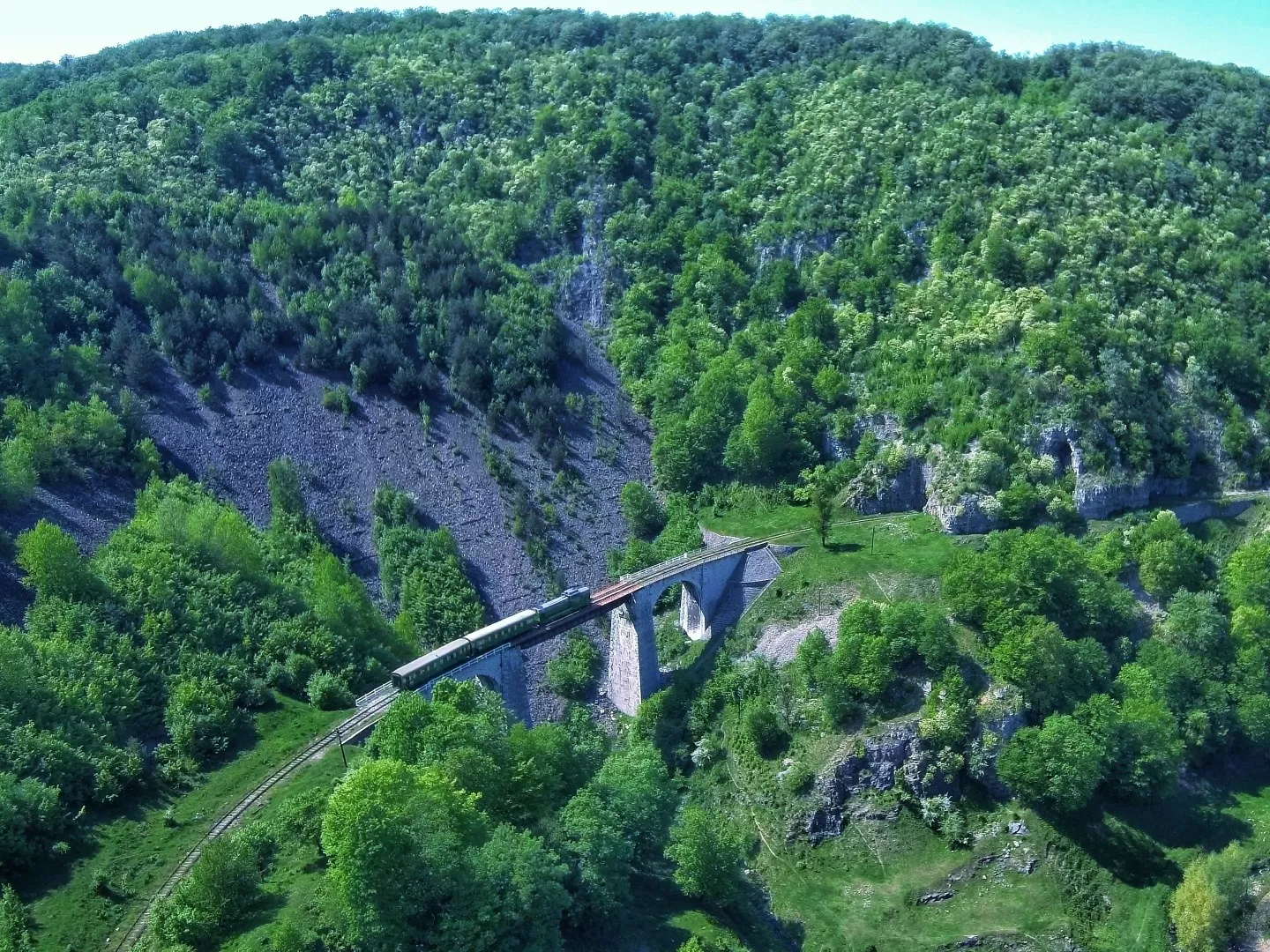 Esenta Banatului Montan