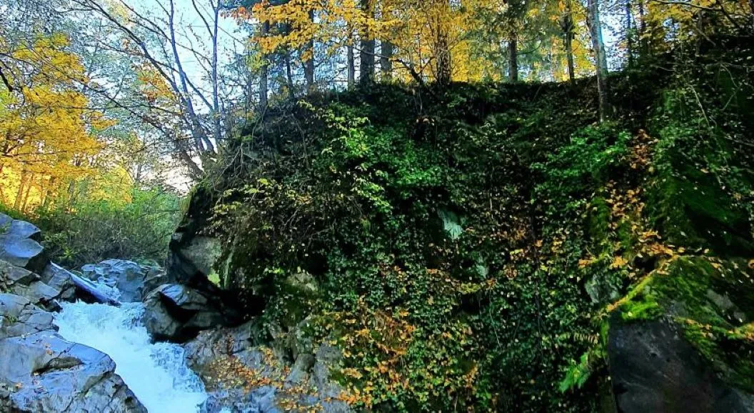 Sejur Odihna 2026 Covasna Hotel Bradul
