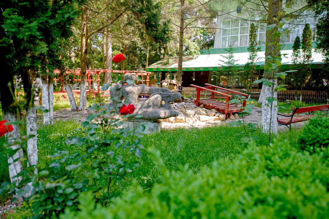 Sejur Odihna 2023 Baile Felix Hotel Padis